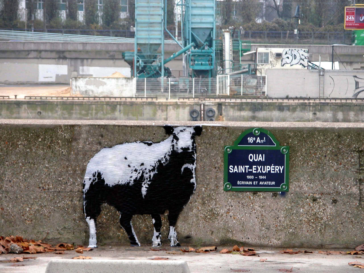 BLEK LE RAT - SHEEP