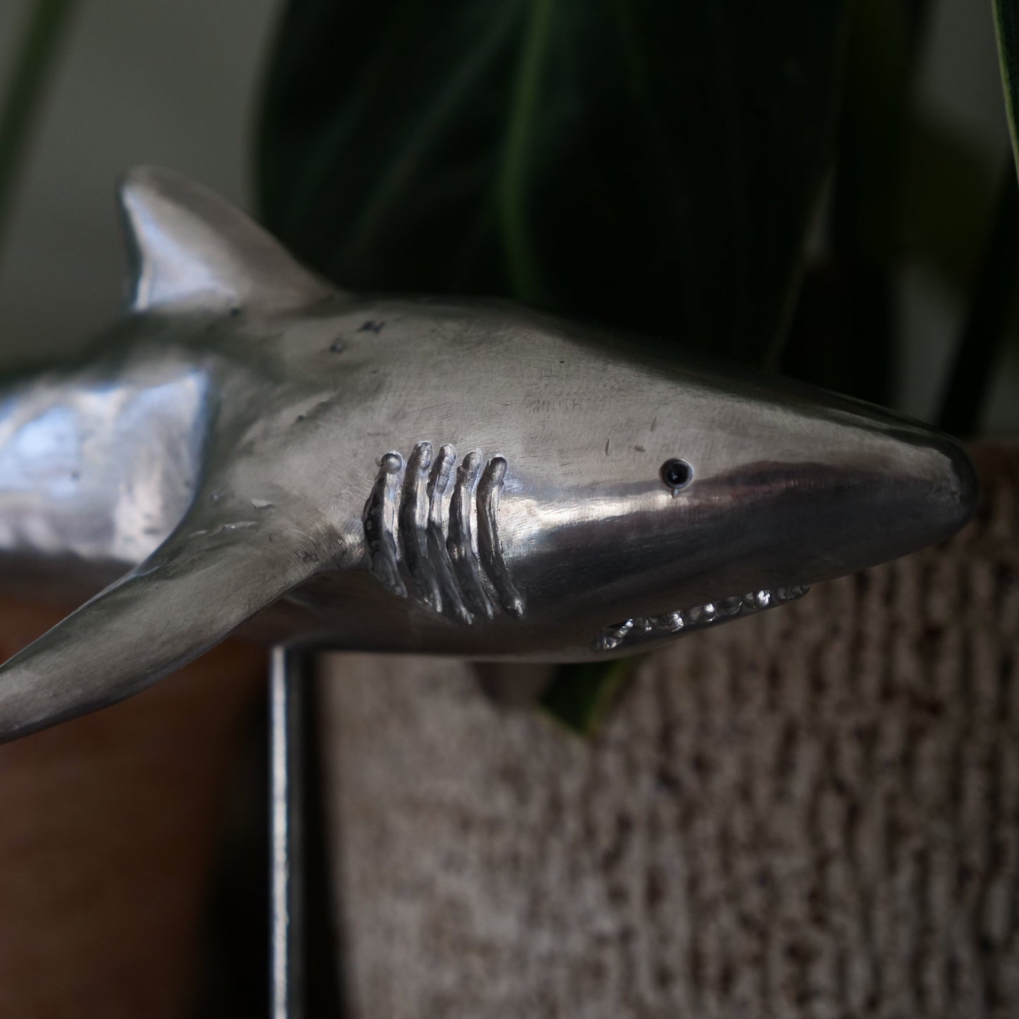 Mako