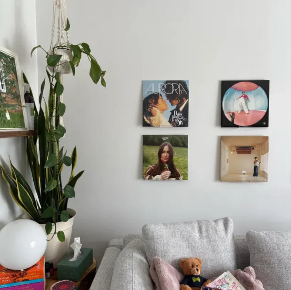 Vinyl Record Cover Display Wall Mount