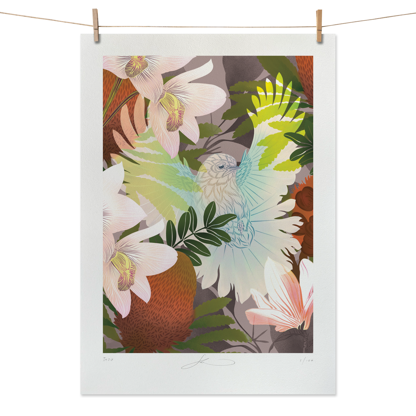 White Fantail & Banksia Boutique Print (Unframed)