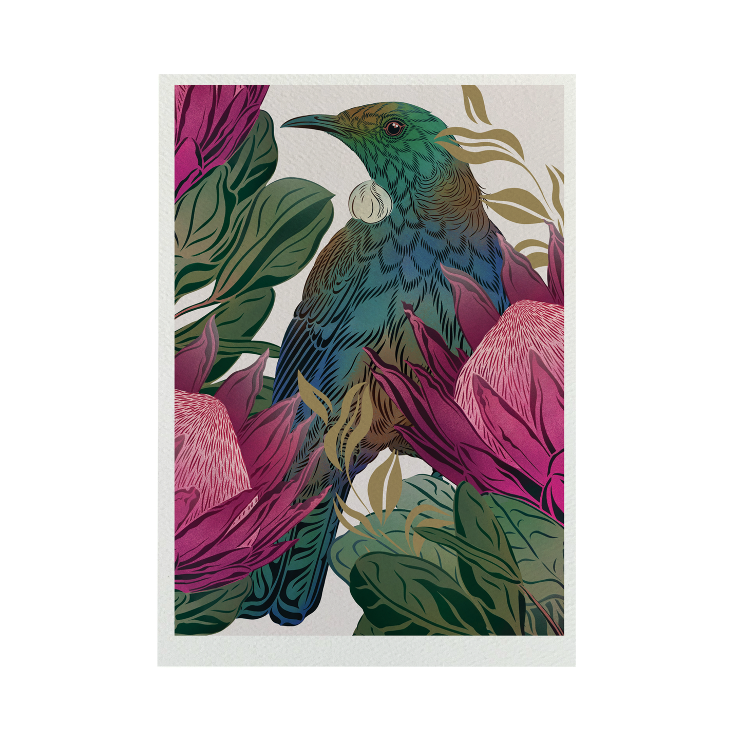 Antipodes Tūī & King Protea Boutique Print (Unframed)
