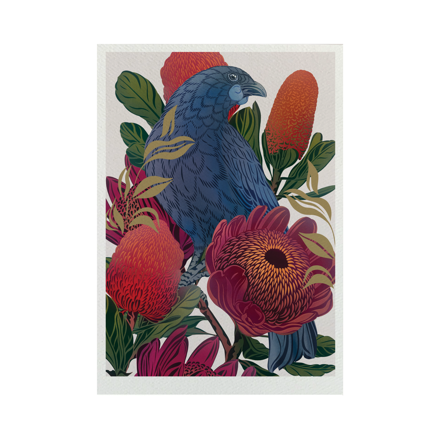 Antipodes Kōkako & Banksia Boutique Print (Unframed)