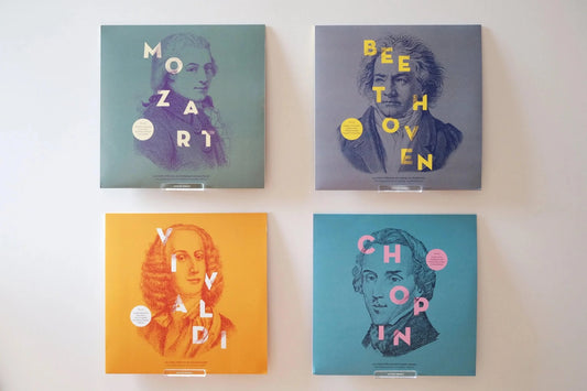 Vinyl Record Cover Display Wall Mount