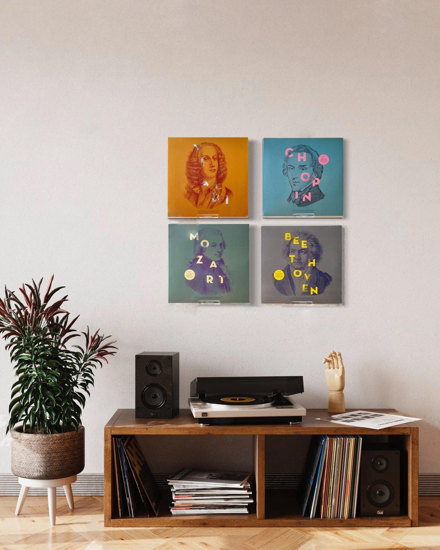 Vinyl Record Cover Display Wall Mount