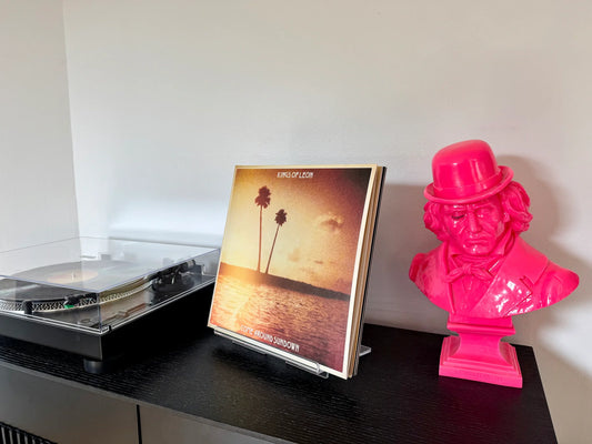 Vinyl Record Cover Stand Display