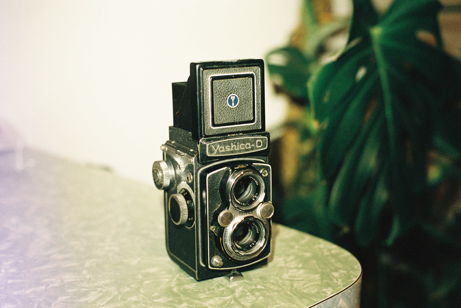 Analogue Film – 35mm & 120 Film | Queenstown