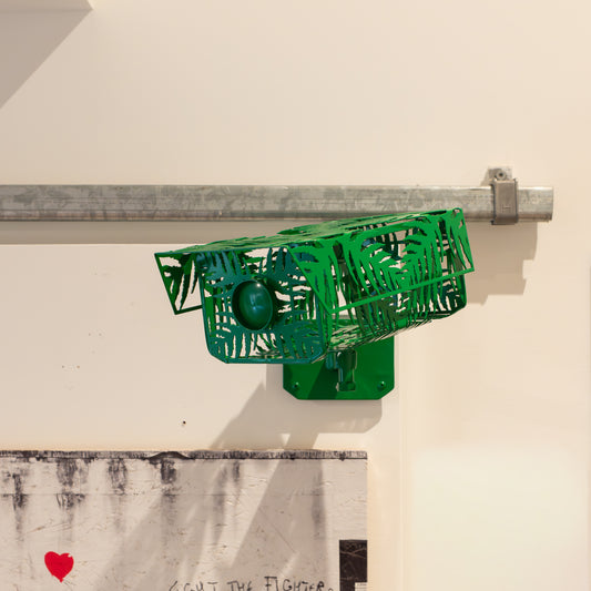 KNOW MORE - NATURE OF SURVEILLANCE