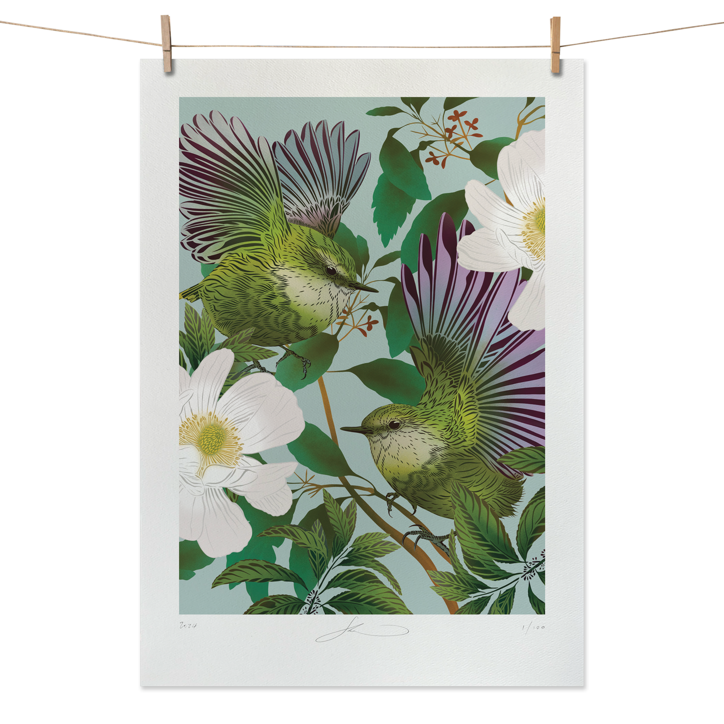 Titipounamu & Karamu Boutique Print (Unframed)