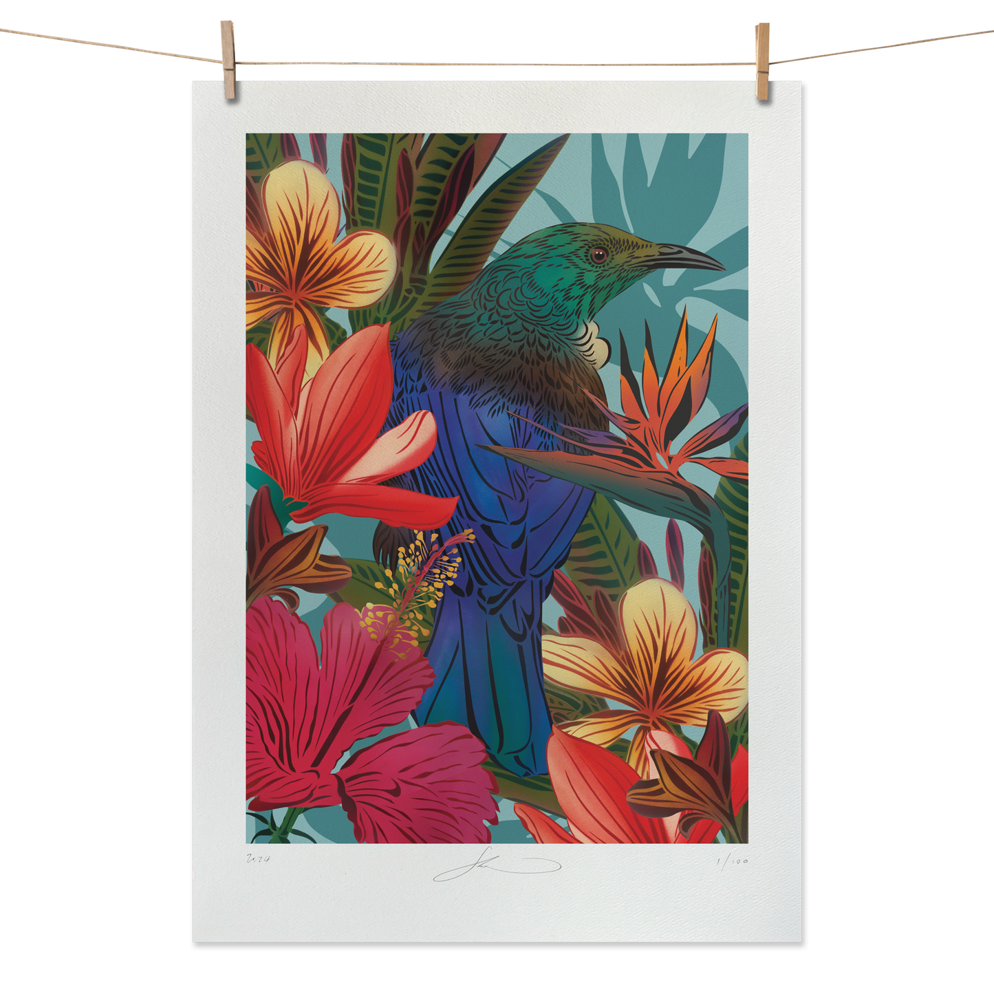 Tūī & Hibiscus Boutique Print (Unframed)